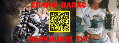 прущие грибы Чебоксары
