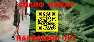 прущие грибы Чебоксары